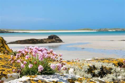 Inverin Wild Atlantic Stay Guest House Self-Catering מראה חיצוני תמונה